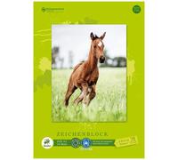 Staufen Edition Dürer Drawing Pad - DIN A3, 18 Pages, Glued, 100 g/m², Cover She