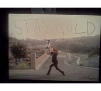 Stay Gold The Emerica Video