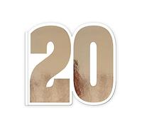 STC - Livre d'or Anniversaire 20 Ans - Couleur cuivre