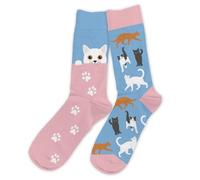 STC - Paire DE Chaussettes Coton Passion Chats Homme