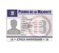 permis humoristique spécial 18 ans - sud trading cd4663 Multicolore G