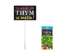 STC Plaque de Décoration Métal pour Le Jardin à Planter - Tu as Un Joli Thym ce Matin - 22.5 x 12 cm