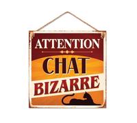 STC - Plaque Métal Attention Chat Bizarre