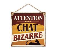 STC Plaque Métal Chat Bizarre 20 x 20 cm