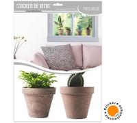 STC - Stickers de vitre 4 Plantes en Pot
