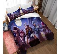 Ste-X Parure De Lit d'hiver King of Glory avec Housse De Couette Et 2 Taies d'oreiller 50 X 75 Cm Douce Et Confortable en Microfibre Idéale pour Les Hôtels Et Les Familles (200x200cm,KOG 02)