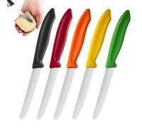 Steak Cutter - 5 Pieces Ergonomic Stainless Steel Serrated Precise Cutting Tool | Outdoor BBQ Steak Cutter Set For Meal Prep Family Gatherings Camping Picnic Afternoon Tea Banquet
