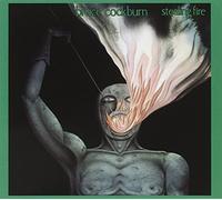 Stealing Fire by Bruce Cockburn (2009-04-07)
