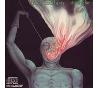 Stealing Fire by Bruce Cockburn [VINYL] NEUF