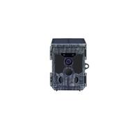 Stealth Gear Fox Solar 4K Wifi caméra de chasse avec panneau solaire et connectivité sans fil
