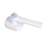 Steam Brush for Cats | Steam Mist Massage Soft Rechargeable Comb