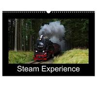Steam Experience (Wall Calendar 2026 DIN A3 landscape), CALVENDO 12 Month Wall Calendar: Steam locomotives in the heart of Germany