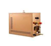 Steam Generator Générateur de bain vapeur for hammam domestique, sauna à for spa Vapeur Douce(6K)