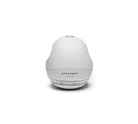 STEAMERY Fabric Shaver - Gris, Un Rasoir Textile Qui élimine Les Bouloches et Peluches de Vos vêtements et Textiles FS-800 Taille Unique