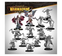 Steamforged Games Warmachine : Extension auxiliaire Khymaera Shadowflame Shard