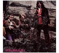 Steamhammer aka reflection