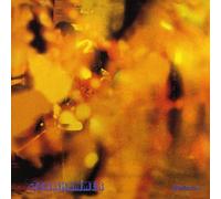 Steamhammer - Reflection