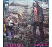STEAMHAMMER - Reflection / S 63 611