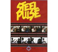 STEEL PULSE - Introspective