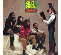 Steel Pulse - True Democracy