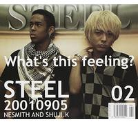 Steel - What's This Feeling