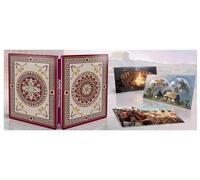 Steelbook pour Anno 117 Pax Romana (sans jeu) édition limitée - parfait pour les collectionneurs ou comme cadeau