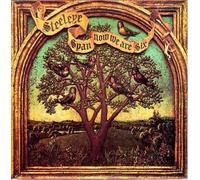 Steeleye Span - Now We Are Six - Chrysalis - 6307529