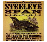 Steeleye Span - The Lark in the Morning- the E