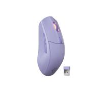 Steelseries 62525 souris Gaming Droitier RF sans fil + Bluetooth Optique 18000 DPI