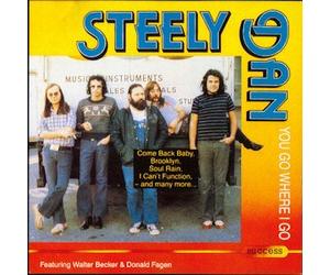 steely dan featuring walter becker & donald fagan - you go where i go
