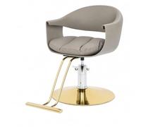 Steeviuzj Chaise de coiffeur hydraulique pivotante à 360° (gris + doré) | Fauteuil de coiffeur réglable en hauteur de 10 cm - Charge maximale : 200 kg