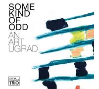 Stefan Frommelt Trio - Some Kind of Odd [Import]