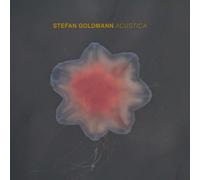 Stefan Goldmann - Acustica