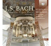 Stefano Molardi - Complete Organ Music 1 [New CD] Boxed Set