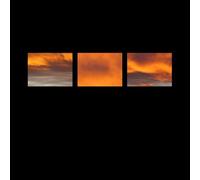 Stefano Pilia - The Suncrows Fall And Tree [Vinyl] Uk - Import