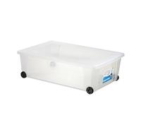 Stefanplast Rollbox 13054 Boîte de Rangement sur Roues, 39 x 59 x 18,5 cm