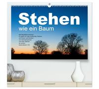 Stehen wie ein Baum (hochwertiger Premium Wandkalender 2026 DIN A2 quer), Kunstdruck in Hochglanz: Bäume ermutigen zum aufrechten Stehen, zum Durchstehen von Situationen.