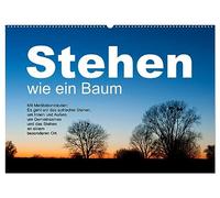 Stehen wie ein Baum (Wandkalender 2026 DIN A2 quer), CALVENDO Monatskalender: Bäume ermutigen zum aufrechten Stehen, zum Durchstehen von Situationen.