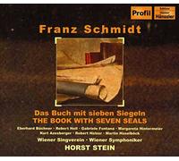 Stein - Buch mit Den 7 Siegeln