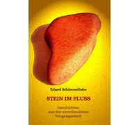 Stein im Fluss: Geschichten aus der unvollendeten Vergangenheit