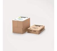 STEINBEIS N°1 CLASSIC WHITE, papier 100% recyclé, teinte naturelle, 80g, A4, Ange Bleu, 5x500f
