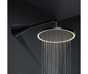Steinberg 310 Douche de tête, 1 jet, 310 1686 S,