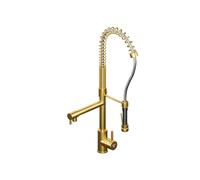 Steinberg 100 Mitigeur de cuisine pivotant, 100 1480 BG,