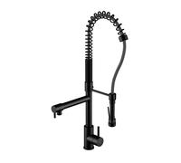 Steinberg Serie 100 1001480S projection 156mm, avec bec pivotant et douchette, noir mat