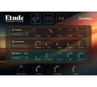 Steinberg Steinberg Etude