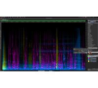 Steinberg Steinberg SpectraLayers Elements 12