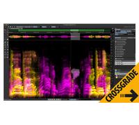 Steinberg Steinberg SpectraLayers Pro 13 Comp. CG
