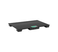 Steinberg Systems Balance vétérinaire - 30 kg / 0,01 kg - 63 x 40 cm - avec tapis antidérapant et écran LCD SBS-PS-30