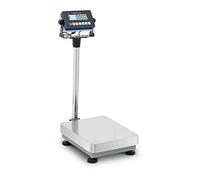 Steinberg Systems SBS-PF-30/1S Balance plateforme Balance industrielle Balance au sol 30 kg / 0,001 kg 300 x 400 x 117 mm Kg/lb