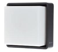 Steinel Applique murale LED extérieur L 845 SC, détecteur de mouvement, Connect App